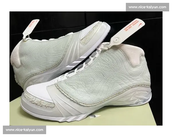 Air Jordan 正代购买指南:从1代到最新款_20260605213016