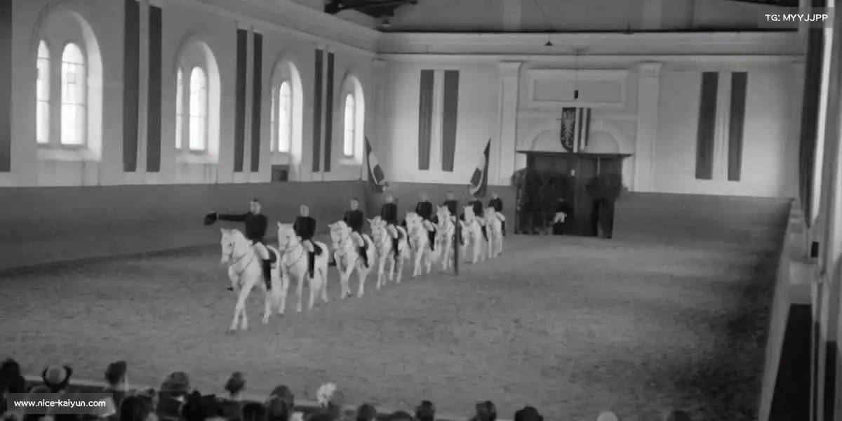 我们的核心竞争力